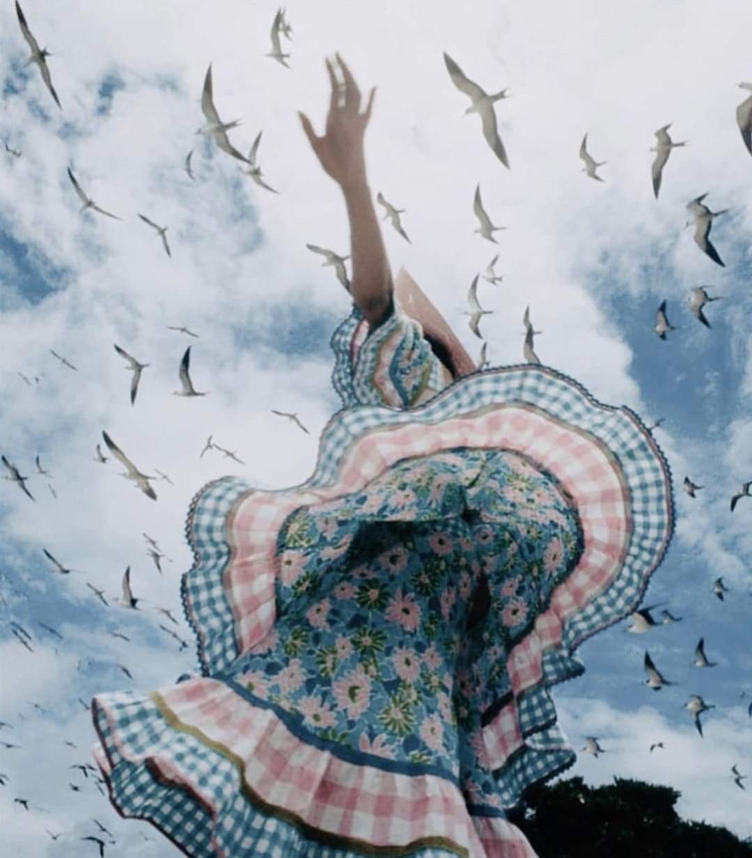 FOTO PARA SECCIO CURSOS