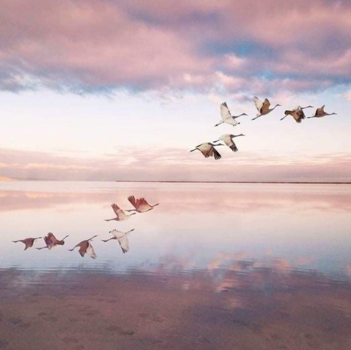 Screenshot_20220926-003327_Facebook