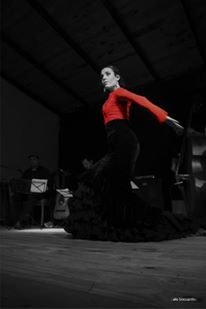 Ser al sur-flamenco y tango 2 Ph Ale Boccardo++