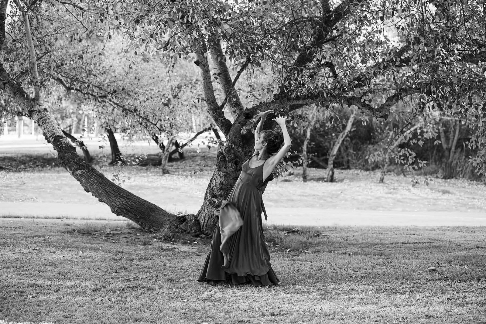 Sesion arboles Rafa NO 1