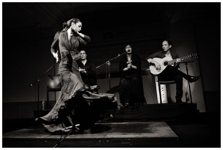 Apuntes para un baile flamenco 3